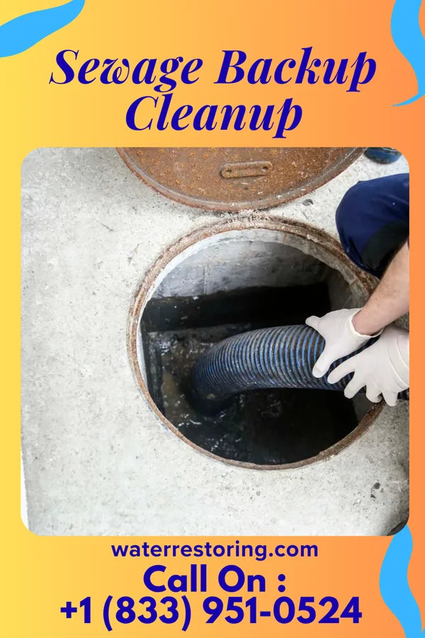 Sewage Backup Cleanup in Rankin, TX